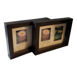 Special Moments Memories Collection photo frames